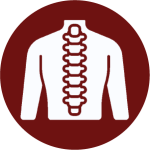 1744781977_Spine Icon.png